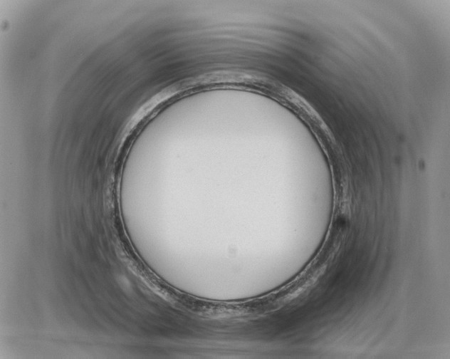 X0000086050786200704202035