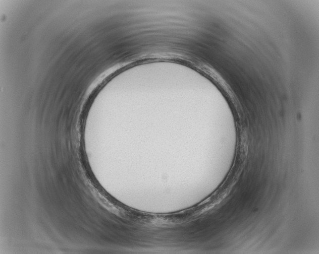 X0000086050787200704202035