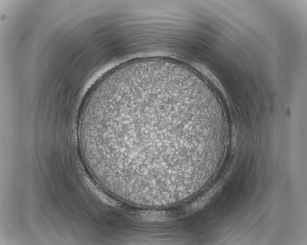 X0000086050789200704202035