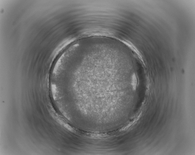 X0000086050790200704202035