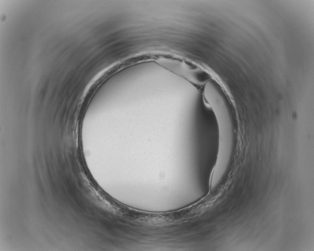 X0000086050791200704202035