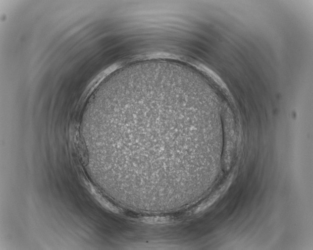 X0000086050793200704202035