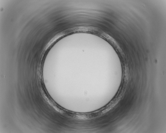 X0000086050794200704202035