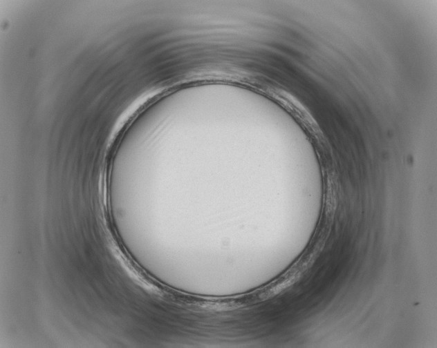 X0000086050796200704202035