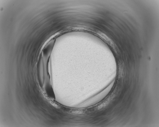 X0000086050798200704202034