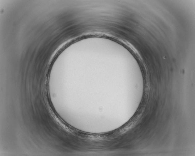 X0000086050799200704202034