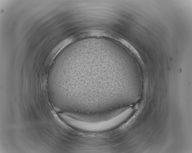 X0000086050801200704202034