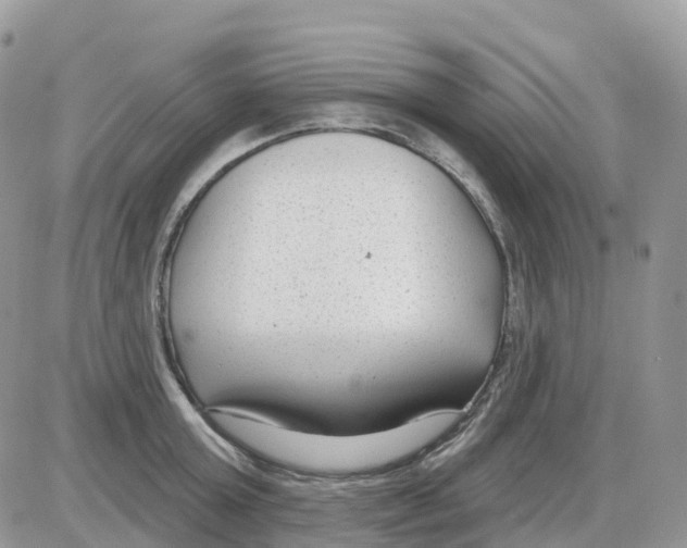 X0000086050803200704202034