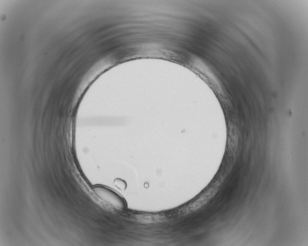 X0000086050804200704202034