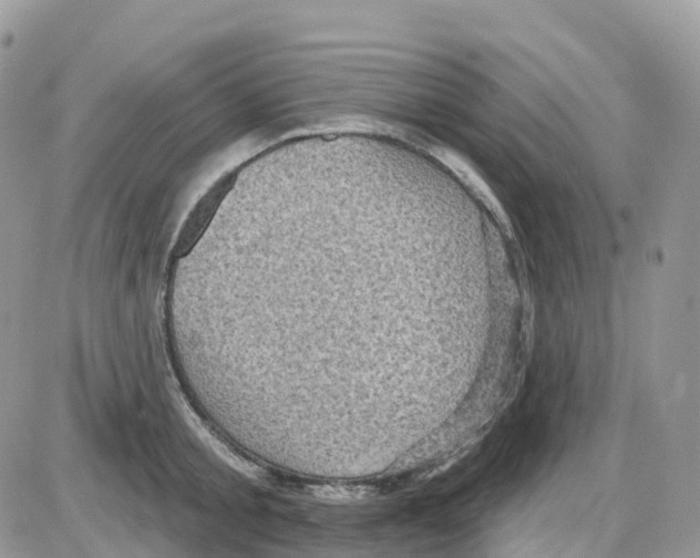 X0000086050805200704202034