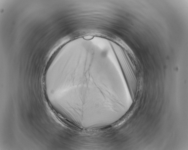 X0000086050806200704202034