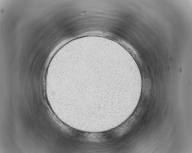 X0000086050808200704202034