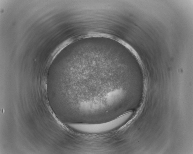 X0000086050809200704202034