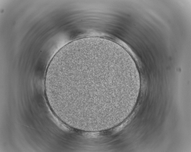 X0000086050810200704202034