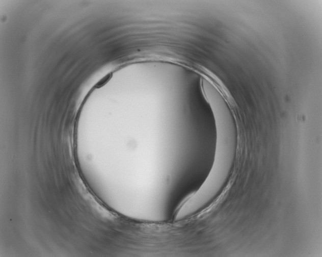 X0000086050812200704202034