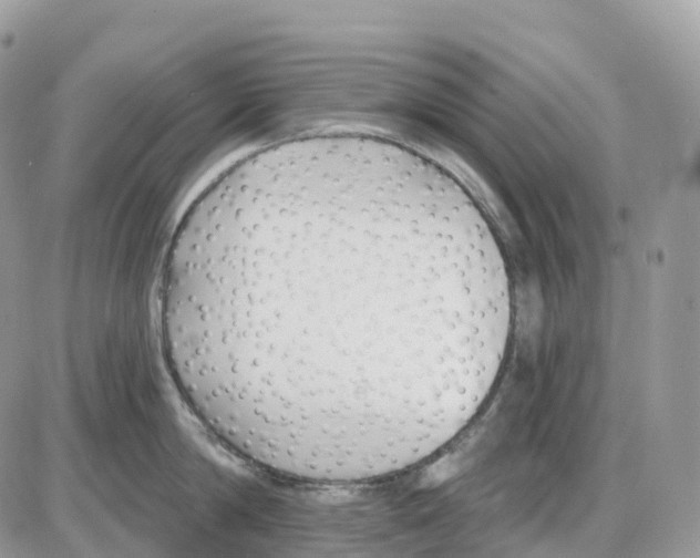 X0000086050814200704202034