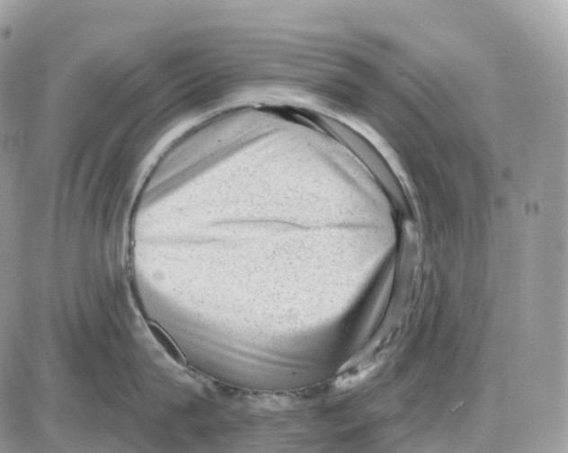 X0000086050815200704202034