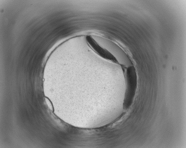 X0000086050816200704202034