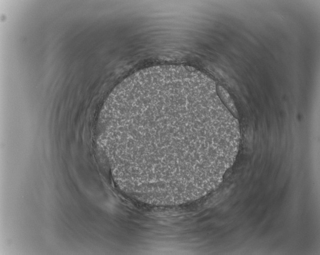 X0000086050817200704202033