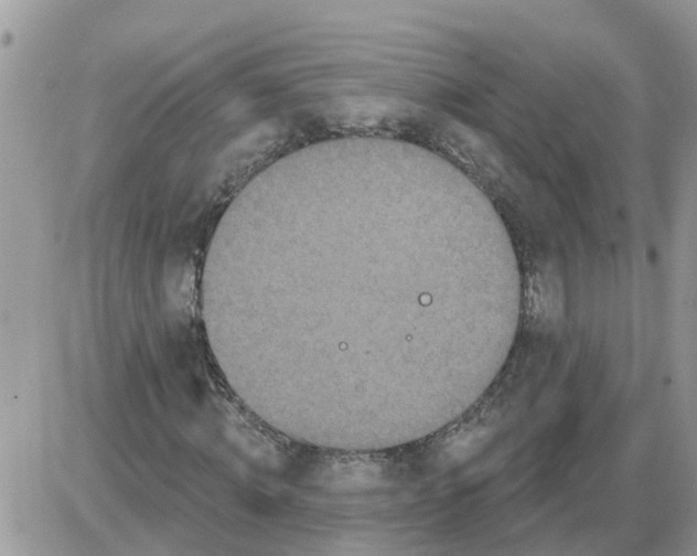 X0000086050820200704202033