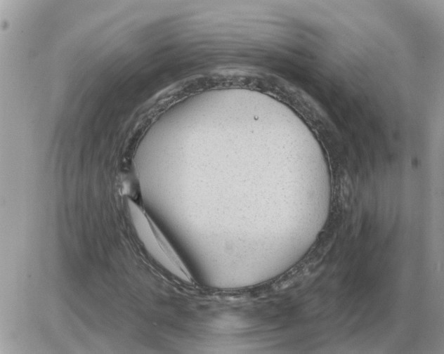 X0000086050821200704202033