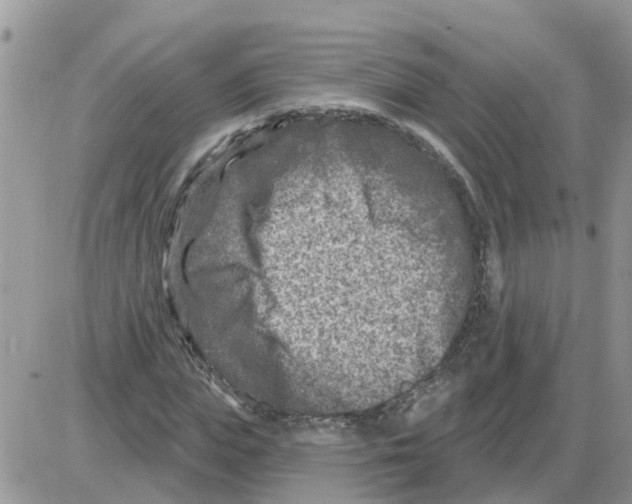 X0000086050823200704202034