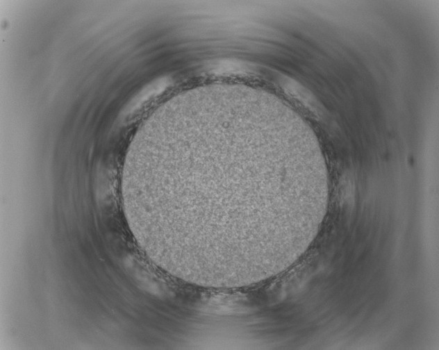 X0000086050824200704202034