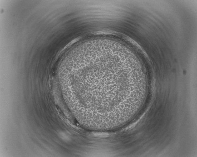 X0000086050825200704202034