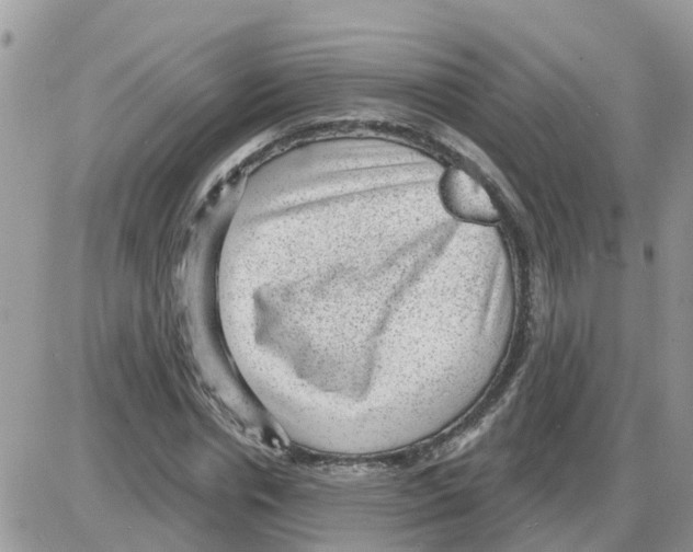 X0000086050826200704202034