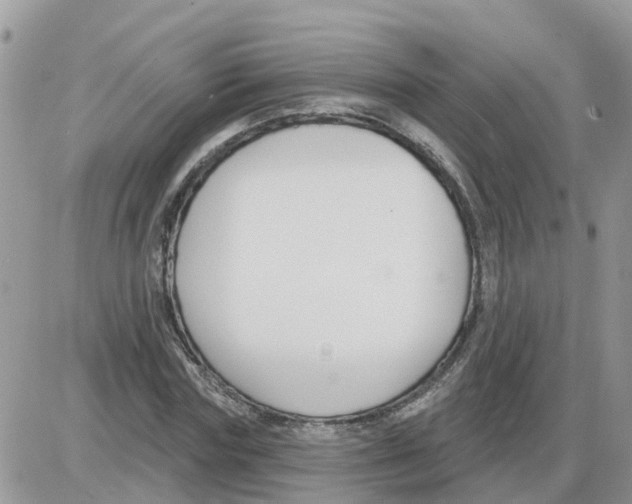 X0000086050827200704202034