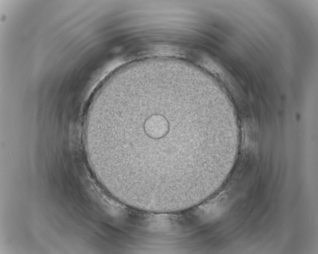 X0000086050828200704202034