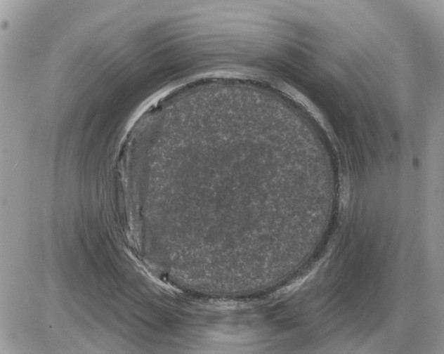 X0000086050829200704202034