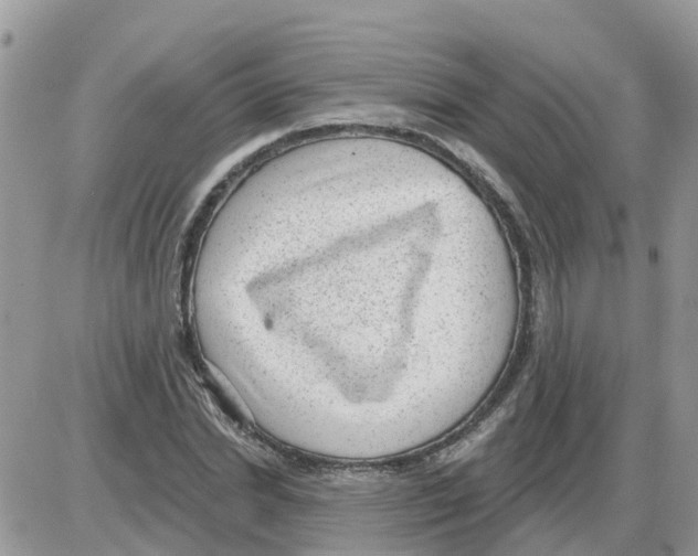 X0000086050830200704202034