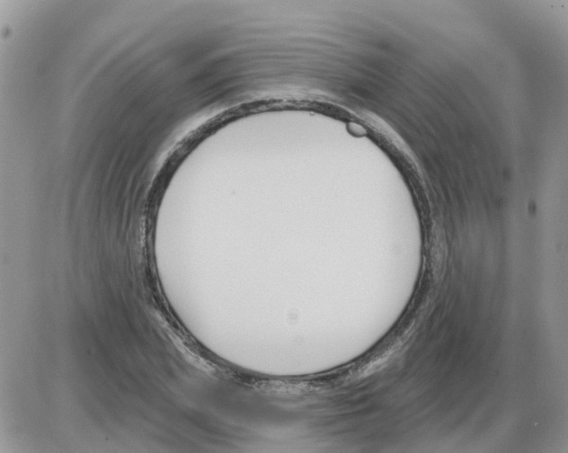 X0000086050831200704202034