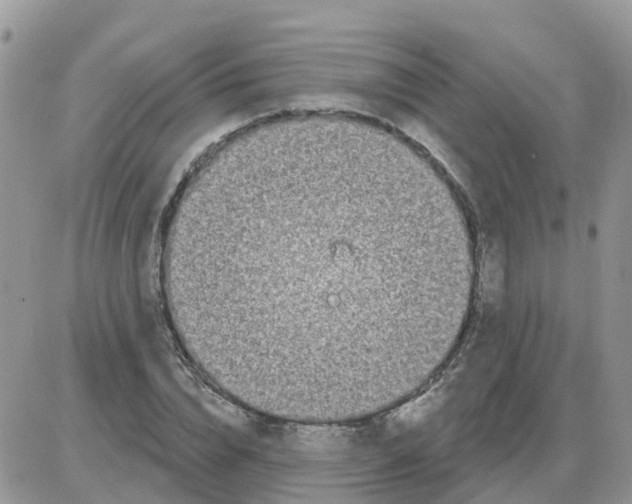 X0000086050832200704202034