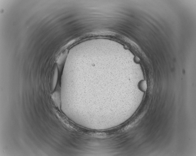 X0000086050833200704202034