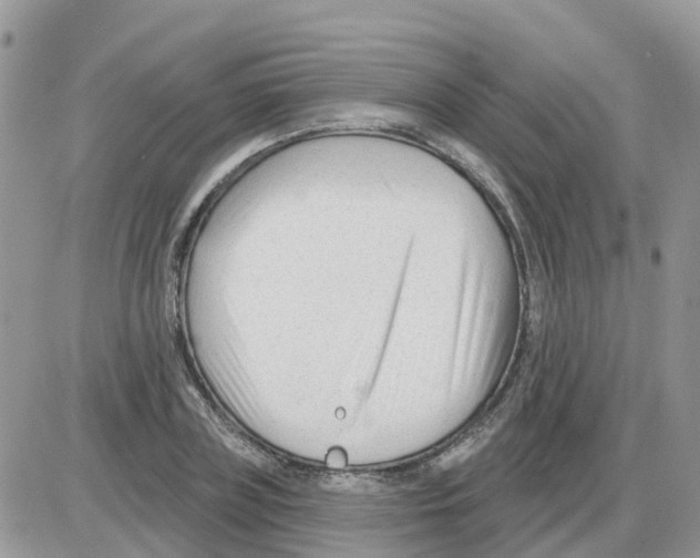 X0000086050835200704202034