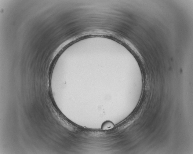 X0000086050837200704202034