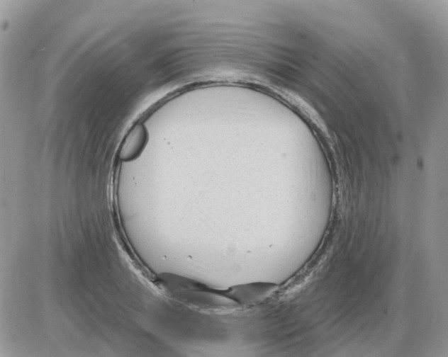 X0000086050839200704202034