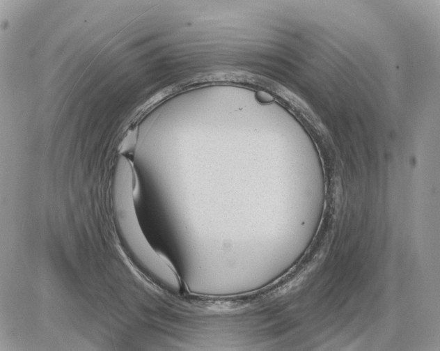 X0000086050841200704202034