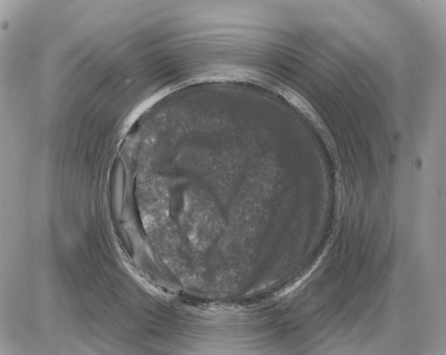 X0000086050842200704202034