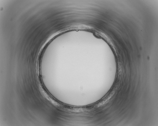 X0000086050843200704202034