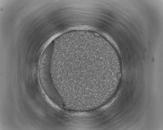 X0000086050845200704202034