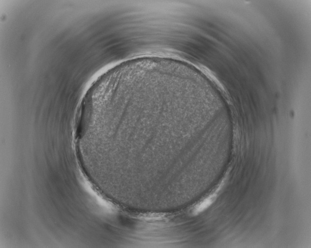 X0000086050846200704202034