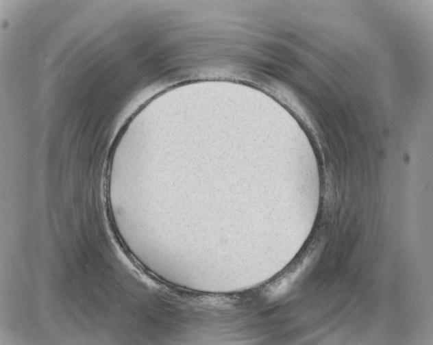 X0000086050847200704202034