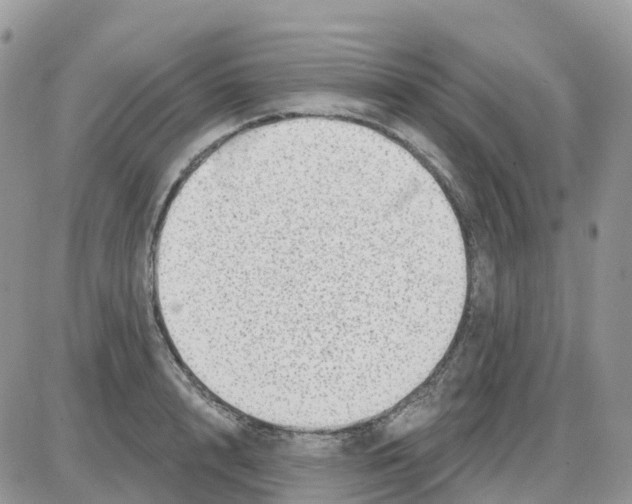 X0000086050848200704202034