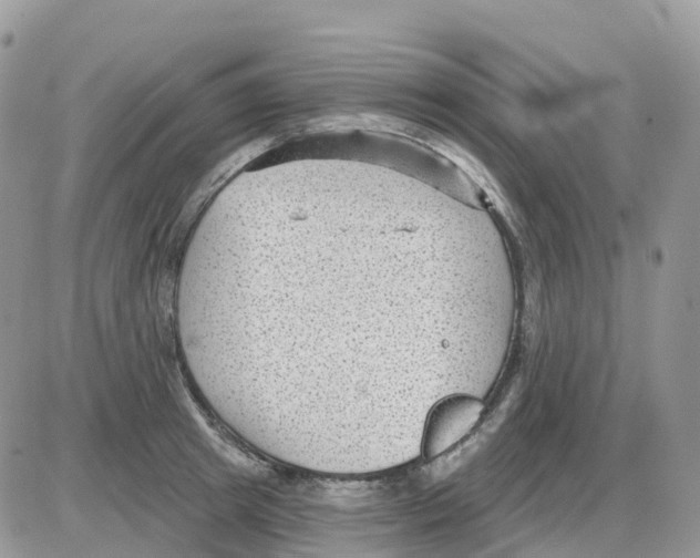 X0000086050849200704202034