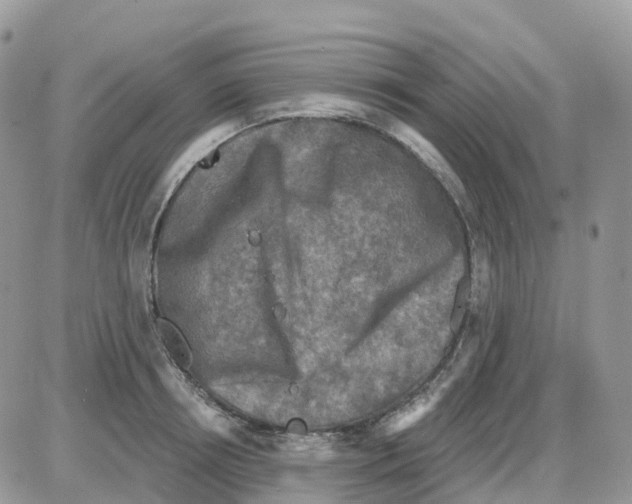 X0000086050850200704202034