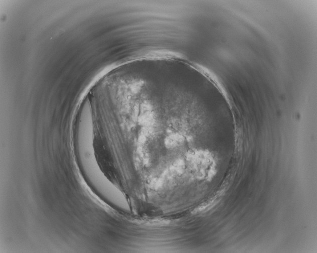 X0000086050851200704202034