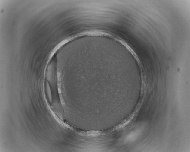 X0000086050853200704202034